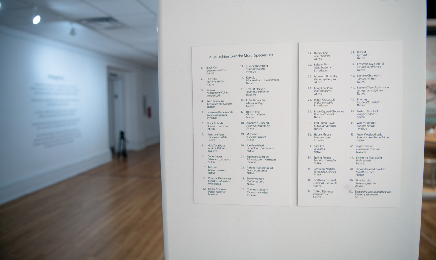 mural list