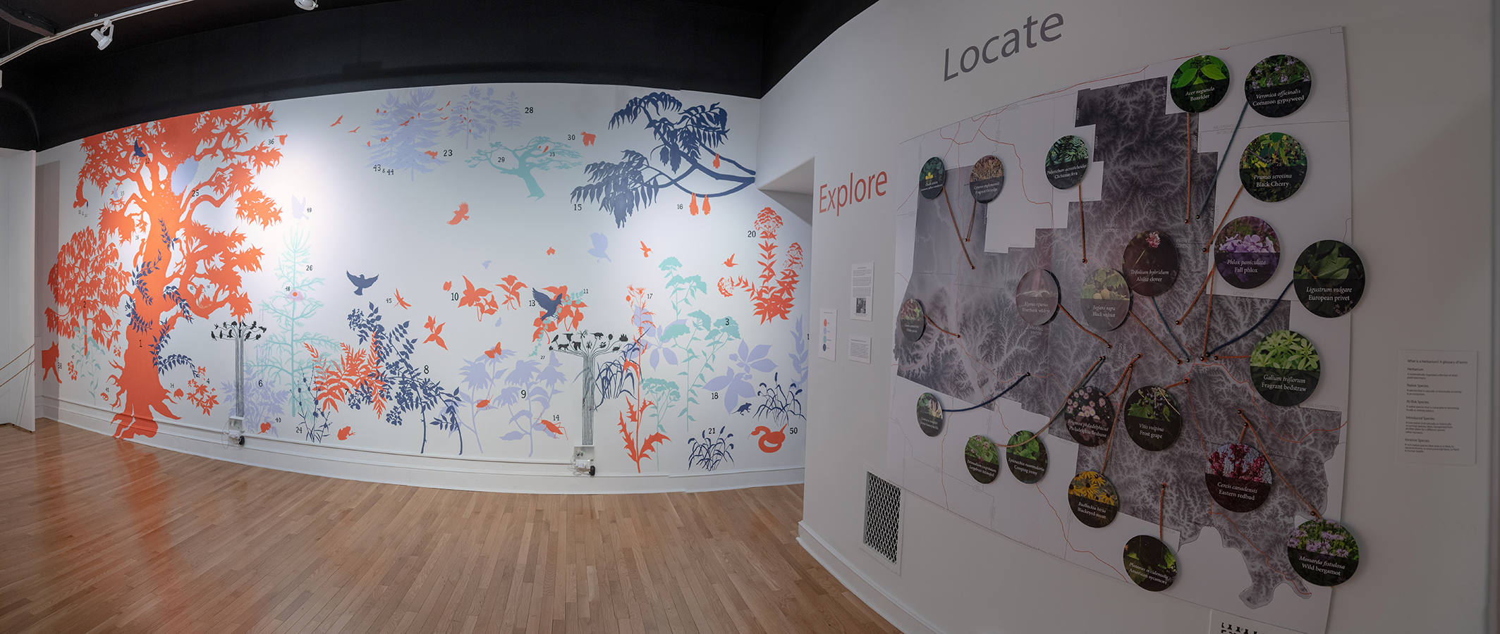 wide view map