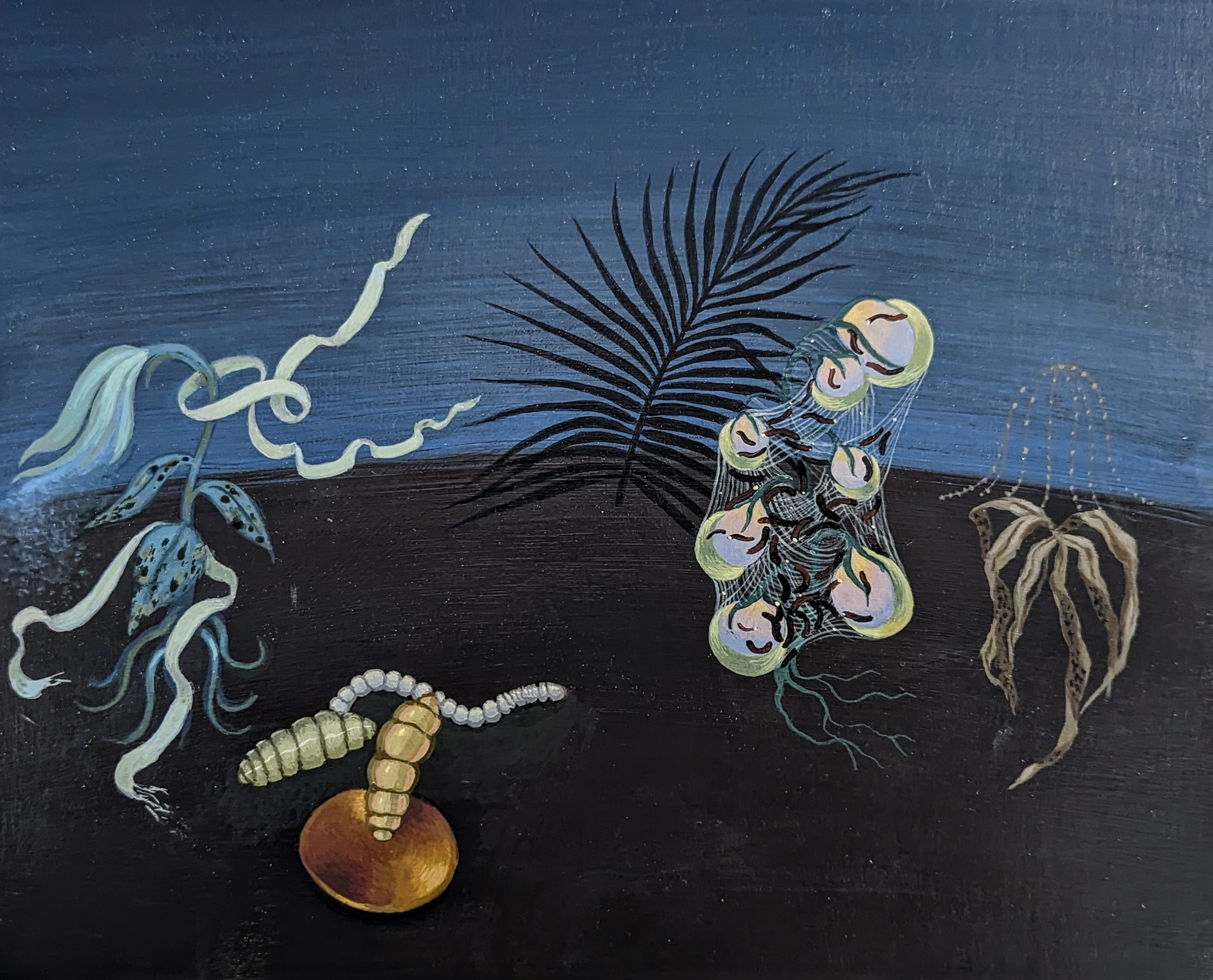 Some thoughts I’ve Had formations of plants, insects and nests moving across a dark landscape